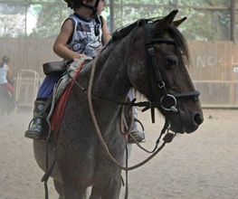 Bessy Equitation image 4
