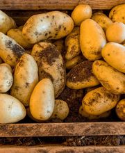 La Remise du Paysan image 4