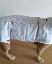 Kleine Liebelein Bild 16