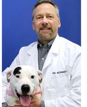 Caring Hands Animal Hospital - Suffolk image 8