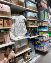 Orchestra GRASSE image 13