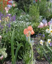 Artho Gärten AG Bild 2