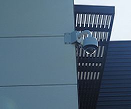 Al Ray image 1