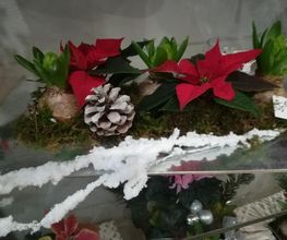 Des Fleurs En Plus image 17