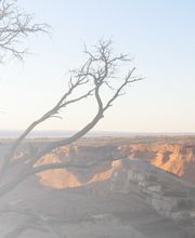 Western Drug & General Store image 16