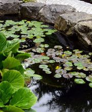 Schwanenland-Gala UG Bild 2