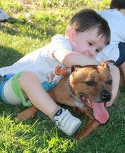 Clínica Veterinaria Manoteras imagen 6