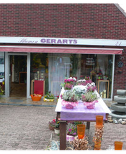 Blumen Gerarts Bild 1