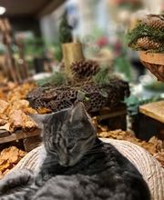 Blumen Kreativ Bild 6