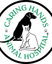 Caring Hands Animal Hospital - Alexandria image 3