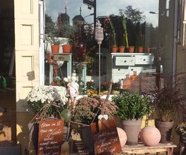 Julias-Blumenwelt Bild 2