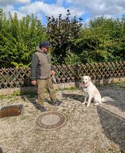 Hundeschule München-Nord