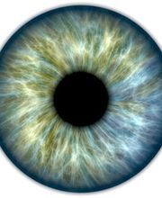 Heilpraktikerin Sigrid Ernst Praxis für Naturheilkunde Bild 10