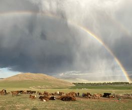 Explore Mongolia Bild 10