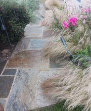 Tilly Paysage et Pépinière image 6