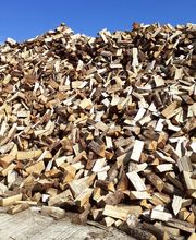 Le Petit Bucheron image 6