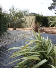 Batimat Distribution image 20