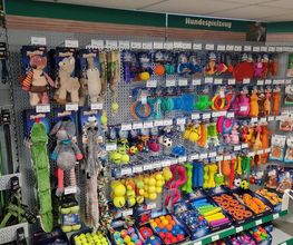 Kiebitzmarkt Tettenborn Bild 2