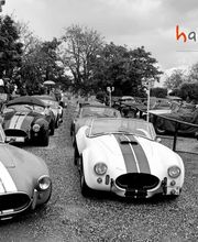 Schubkarchstand Bild 2