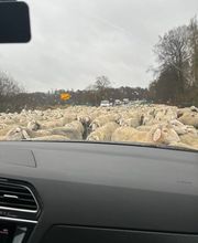 Fahrschule Jens Kollatz Bild 9