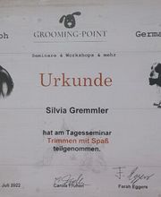 Silvis mobiler Hundefriseur Bild 1