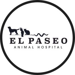 El Paseo Animal Hospital