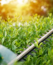 Frischgereinigt Bild 3