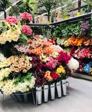 Centrakor Aubusson image 10