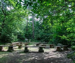 FriedWald Bremer Schweiz Bild 12