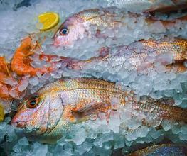 Peixateríes Martí imagen 8