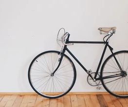 Fahrrad Franssen Bild 2