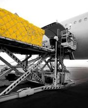 DHL Global Forwarding Guadeloupe SAS image 3