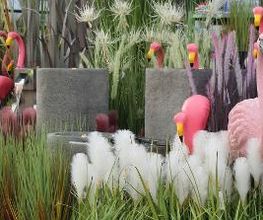 Intratuin Nuenen afbeelding 2