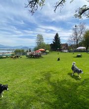 Alpepfötli GmbH Bild 5