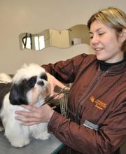 Tendance Toilettage image 3