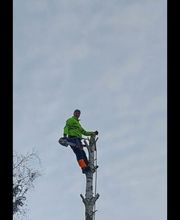 Limaj - Garten und Gebäudeservice Bild 18