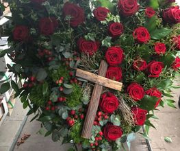 Blumen Kaiser Bild 4
