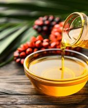 Import & Export GDP Bild 5