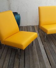 Pascal Sellerie image 3