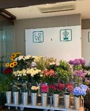 BLUME2000 Böblingen Bild 4