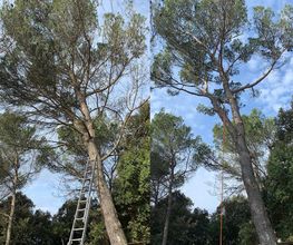 LB Paysage image 13