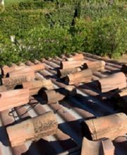 Lenoir Steeve image 7