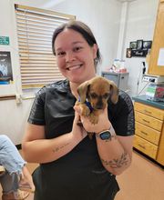 Independence Animal Hospital image 19