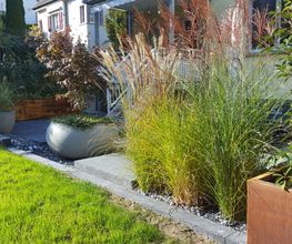 Burkis Gartenpflege AG Bild 1