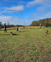 Bien dans ses Pattes image 19