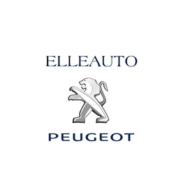 Elleauto Concessionaria Evo S.r.l. logo