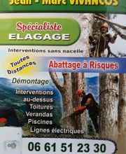 Elagage Abattage à Risque image 1