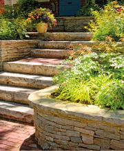 Cipolletta, Ciro Bild 7