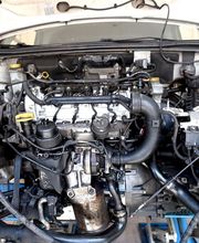 Gallery Professionale