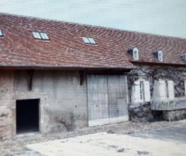 Naulin image 10